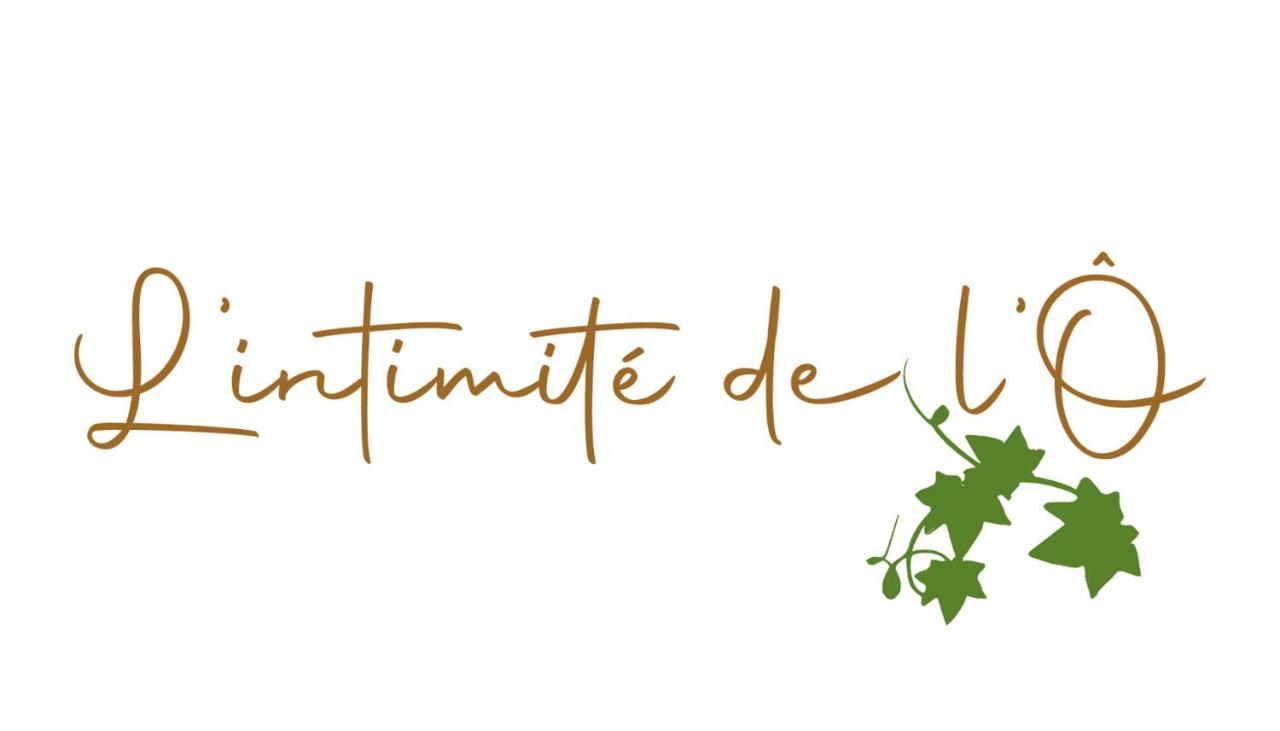 L'Intimite De L'O Hotel Merbes-le-Château Екстериор снимка